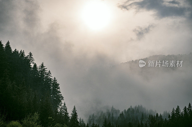 春天在Zgornje Jezersko山谷森林上空的云层